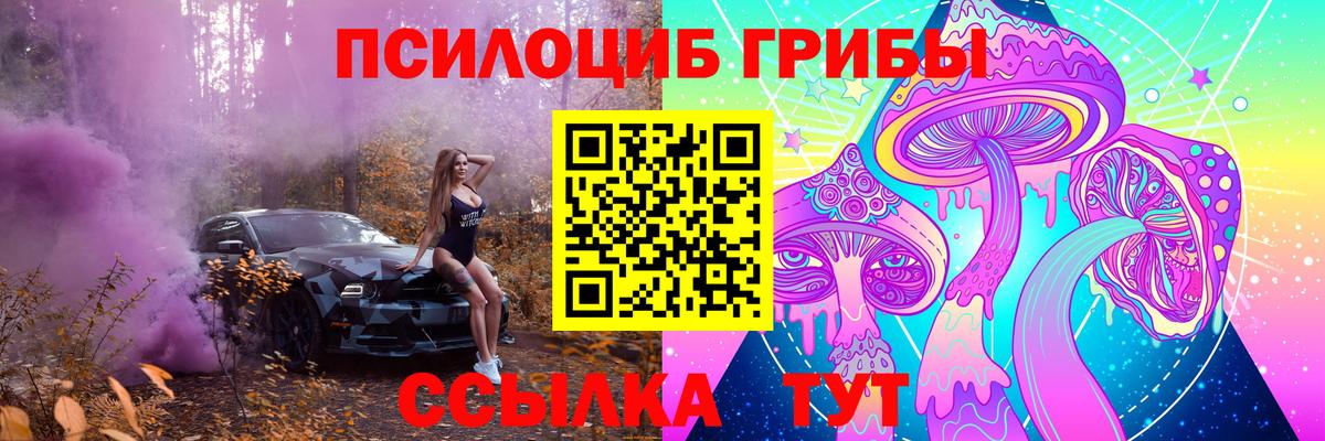Галлюциногенные грибы Psilocybe  Вход с VPN  Черногорск 