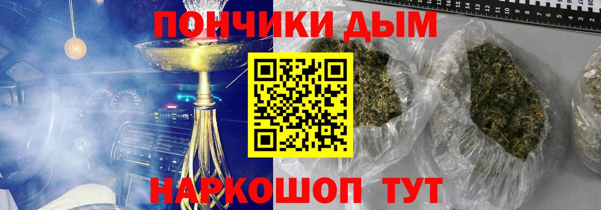 Бошки марихуана индика  Каннабис тримм  Черногорск  Вход с VPN 
